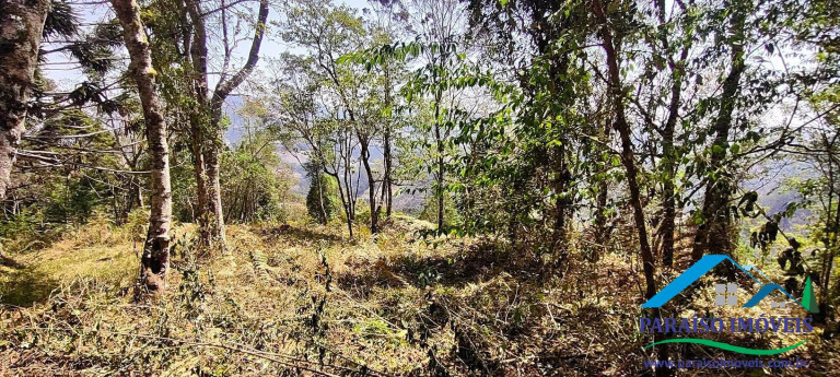 Imagem Chácara à Venda, 49 m² em Centro - Gonçalves