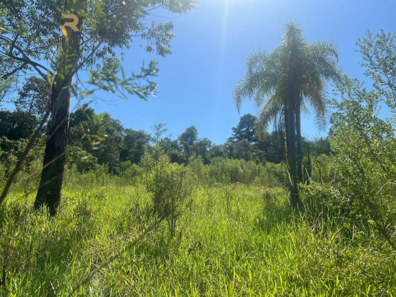 Imagem Chácara com 2 Quartos à Venda, 37.000 m² em Pinheirinho - Capela De Santana Imagem Chácara com 2 Quartos à Venda, 37.000 m² em Pinheirinho - Capela De Santana