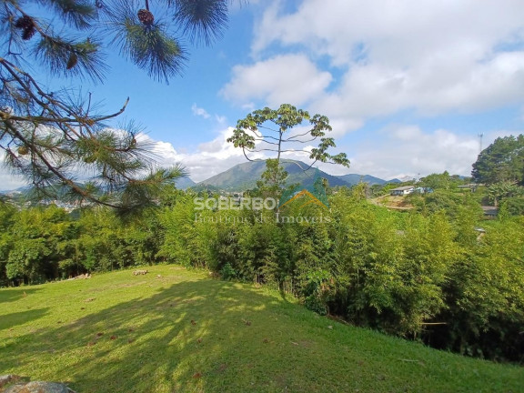 Imagem Imóvel com 4 Quartos à Venda, 10.920 m² em Granja Guarani - Teresópolis Imagem Imóvel com 4 Quartos à Venda, 10.920 m² em Granja Guarani - Teresópolis