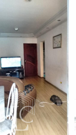 Imagem Apartamento com 2 Quartos à Venda, 58 m² em Campo Grande - São Paulo Imagem Apartamento com 2 Quartos à Venda, 58 m² em Campo Grande - São Paulo