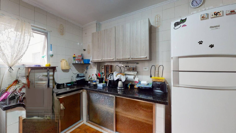 Imagem Apartamento com 3 Quartos à Venda, 72 m² em Vila Monumento - São Paulo