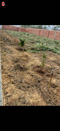 Imagem Chácara à Venda, 1.079 m² em Cercado - Araçoiaba Da Serra Imagem Chácara à Venda, 1.079 m² em Cercado - Araçoiaba Da Serra