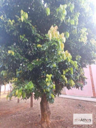 Imagem Terreno à Venda, 250 m² em Jardim Regina - Indaiatuba Imagem Terreno à Venda, 250 m² em Jardim Regina - Indaiatuba