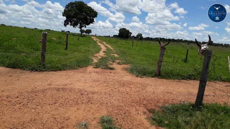 Imagem Chácara à Venda, 5 m² em Zona Rural - Bom Jardim De Goiás Imagem Chácara à Venda, 5 m² em Zona Rural - Bom Jardim De Goiás
