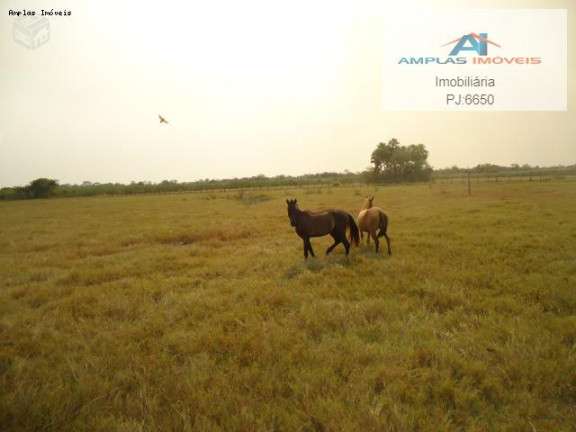 Imagem Fazenda à Venda, 58.000 m² em Cáceres