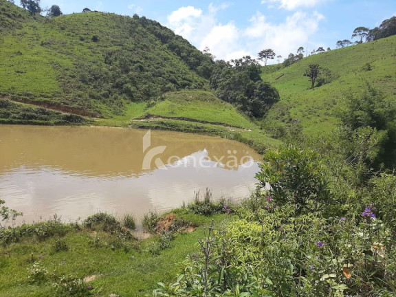 Imagem Fazenda à Venda, 600 m² em Pouso Alto - Natividade Da Serra Imagem Fazenda à Venda, 600 m² em Pouso Alto - Natividade Da Serra