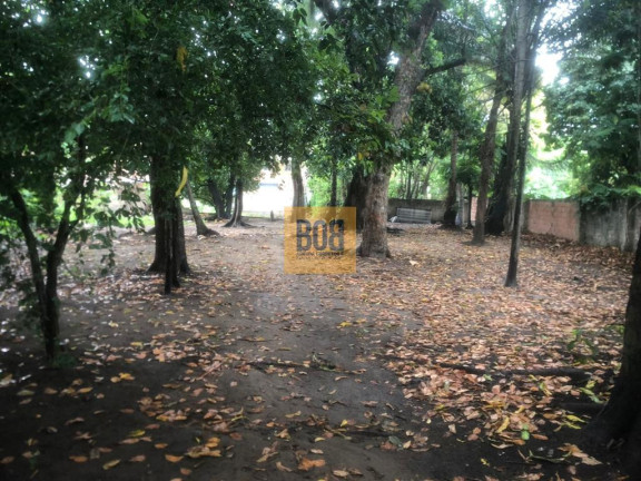 Imagem Terreno à Venda, 3.000 m² em Beberibe - Recife Imagem Terreno à Venda, 3.000 m² em Beberibe - Recife
