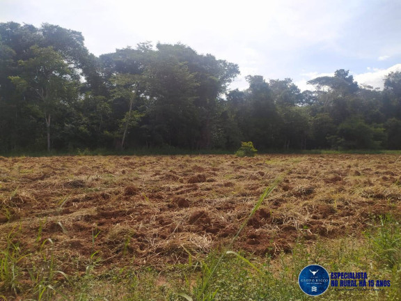 Imagem Terreno à Venda, 1 m² em Zona Rural - Nerópolis Imagem Terreno à Venda, 1 m² em Zona Rural - Nerópolis