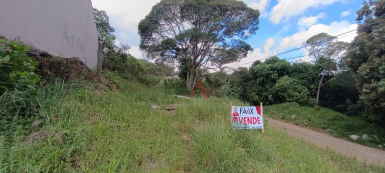 Imagem Terreno à Venda, em Morro Alto - Guarapuava Imagem Terreno à Venda, em Morro Alto - Guarapuava