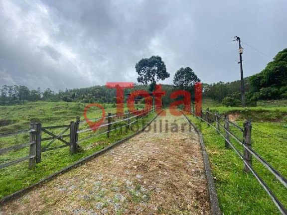 Imagem Chácara com 4 Quartos à Venda, 64.000 m² em Zona Rural - Antônio Dias Imagem Chácara com 4 Quartos à Venda, 64.000 m² em Zona Rural - Antônio Dias