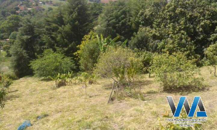 Imagem Chácara com 3 Quartos à Venda, 490 m² em Bairro Da Cachoeirinha - Pinhalzinho Imagem Chácara com 3 Quartos à Venda, 490 m² em Bairro Da Cachoeirinha - Pinhalzinho