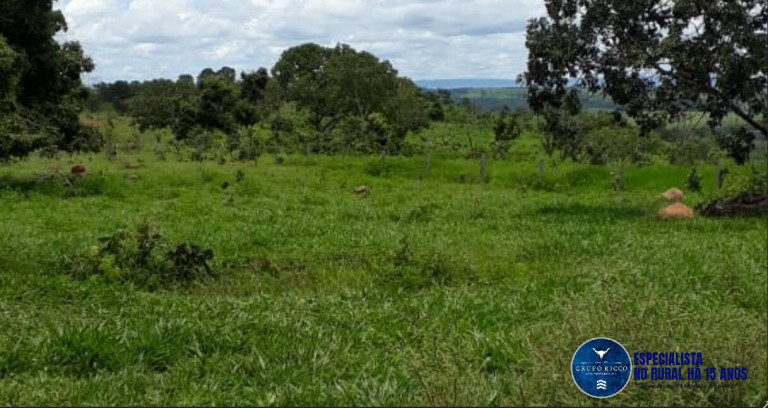 Imagem Fazenda à Venda, 209 m² em Zona Rural - Doverlândia Imagem Fazenda à Venda, 209 m² em Zona Rural - Doverlândia
