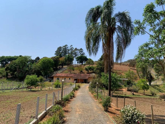 Imagem Imóvel com 4 Quartos à Venda, 45 m² em Centro - Gonçalves Imagem Imóvel com 4 Quartos à Venda, 45 m² em Centro - Gonçalves