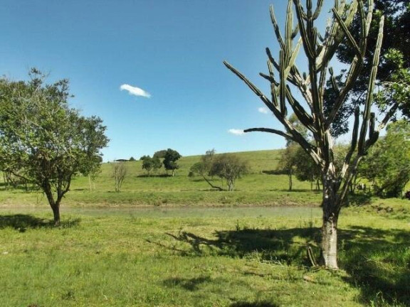 Imagem Chácara com 1 Quarto à Venda, 11 m² em águas Claras - Viamão