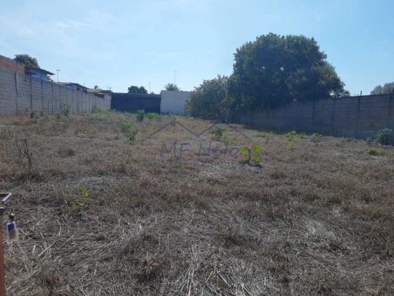 Imagem Terreno à Venda, 650 m² em Vila São Guido - Pirassununga