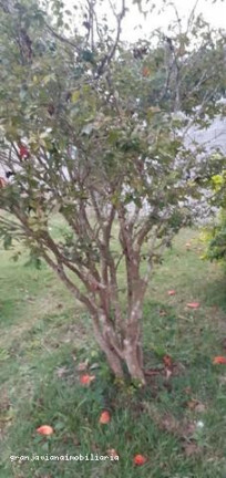 Imagem Chácara à Venda, em Bairro Altos De Caucaia - Cotia Imagem Chácara à Venda, em Bairro Altos De Caucaia - Cotia