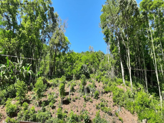 Imagem Imóvel com 2 Quartos à Venda, 50 m² em Linha Pirajá Baixa - Nova Petrópolis Imagem Imóvel com 2 Quartos à Venda, 50 m² em Linha Pirajá Baixa - Nova Petrópolis