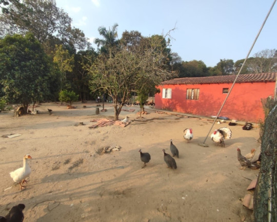 Imagem Chácara com 4 Quartos à Venda, 2.200 m² em Terra Preta (terra Preta) - Mairiporã Imagem Chácara com 4 Quartos à Venda, 2.200 m² em Terra Preta (terra Preta) - Mairiporã