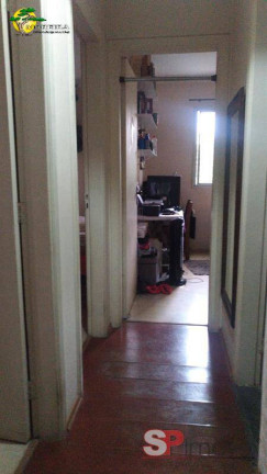 Imagem Apartamento com 3 Quartos à Venda, 78 m² em Parque Mandaqui - São Paulo