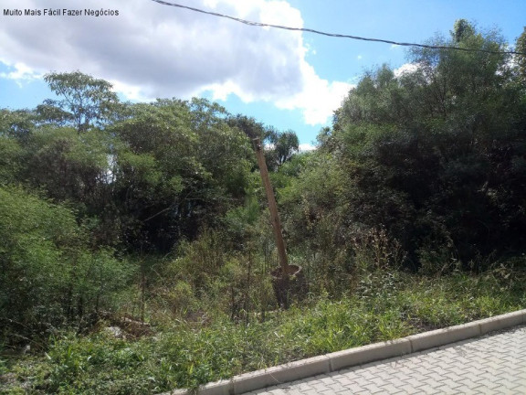 Terreno à Venda, 370 m² em Linha Imperial - Nova Petrópolis