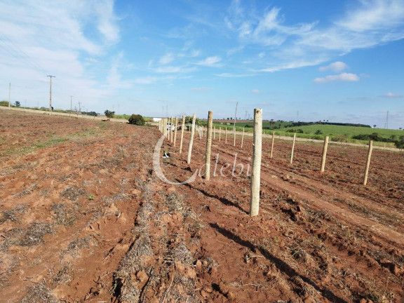 Imagem Chácara à Venda, 2 m² em área Rural De Engenheiro Coelho - Engenheiro Coelho Imagem Chácara à Venda, 2 m² em área Rural De Engenheiro Coelho - Engenheiro Coelho
