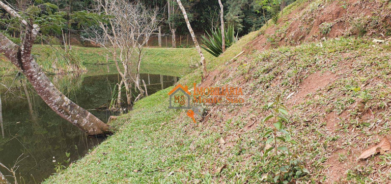 Imagem Chácara com 2 Quartos à Venda, 8.000 m² em Jardim Fortaleza - Guarulhos Imagem Chácara com 2 Quartos à Venda, 8.000 m² em Jardim Fortaleza - Guarulhos
