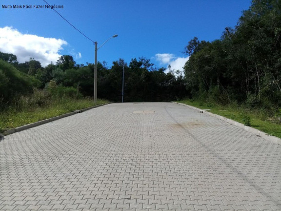 Imagem Terreno à Venda, 370 m² em Linha Imperial - Nova Petrópolis Imagem Terreno à Venda, 370 m² em Linha Imperial - Nova Petrópolis