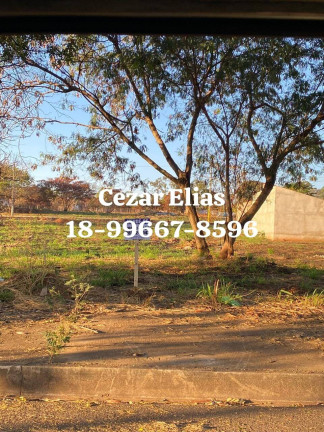 Imagem Terreno à Venda, 455 m² em Andradina Imagem Terreno à Venda, 455 m² em Andradina