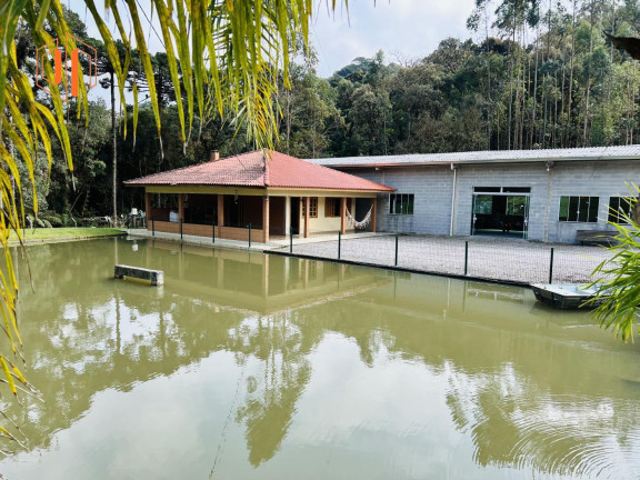 Imagem Imóvel à Venda, 4.000 m² em Borda Do Campo - São José Dos Pinhais Imagem Imóvel à Venda, 4.000 m² em Borda Do Campo - São José Dos Pinhais