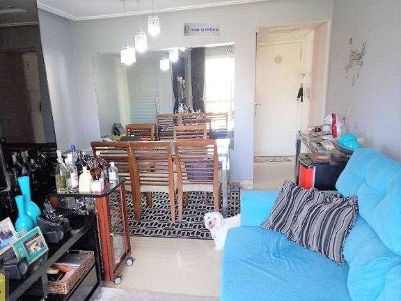 Imagem Apartamento com 3 Quartos à Venda, 82 m² em Vila Firmiano Pinto - São Paulo Imagem Apartamento com 3 Quartos à Venda, 82 m² em Vila Firmiano Pinto - São Paulo
