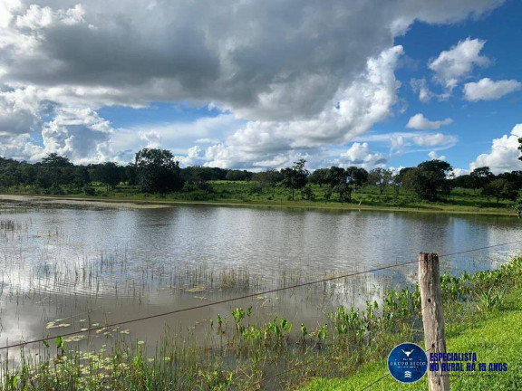Imagem Fazenda à Venda, 50 m² em Zona Rural - Porangatu Imagem Fazenda à Venda, 50 m² em Zona Rural - Porangatu