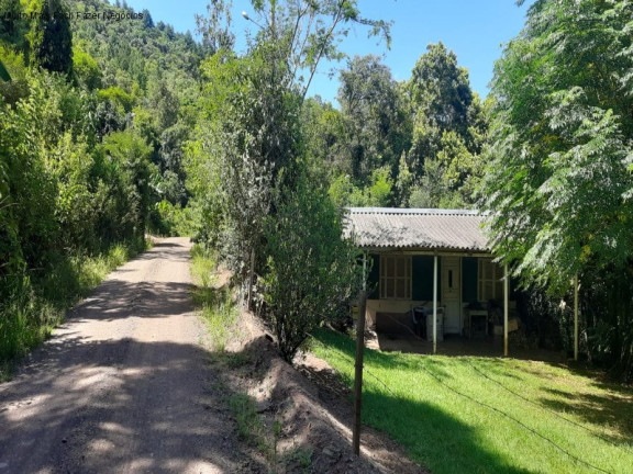 Imagem Imóvel com 2 Quartos à Venda, 11 m² em Linha Pirajá Baixa - Nova Petrópolis Imagem Imóvel com 2 Quartos à Venda, 11 m² em Linha Pirajá Baixa - Nova Petrópolis