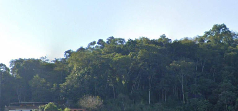 Imagem Terreno à Venda, 41.000 m² em Badenfurt - Blumenau
