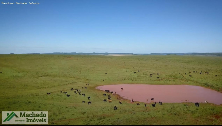 Imagem Imóvel à Venda, 48.470.000 m² em Rural - Itacurubi Imagem Imóvel à Venda, 48.470.000 m² em Rural - Itacurubi