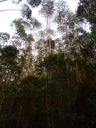 Imagem Terreno à Venda, 1 m² em Parque Santo Antônio - Jacareí Imagem Terreno à Venda, 1 m² em Parque Santo Antônio - Jacareí