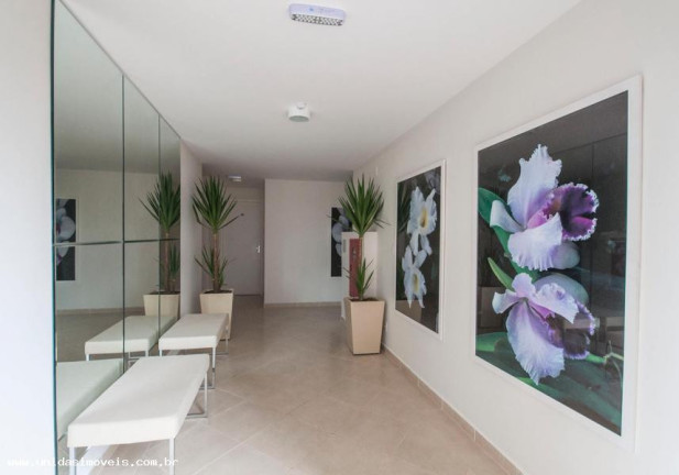 Imagem Apartamento com 2 Quartos à Venda, 45 m² em Jardim Umarizal - São Paulo