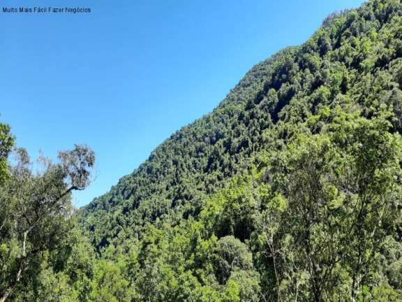 Imagem Imóvel com 2 Quartos à Venda, 70 m² em Linha Pirajá Baixa - Nova Petrópolis Imagem Imóvel com 2 Quartos à Venda, 70 m² em Linha Pirajá Baixa - Nova Petrópolis