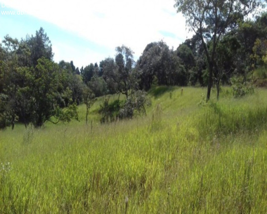 Imagem Terreno à Venda, 20.000 m² em Marmeleiro - São Roque Imagem Terreno à Venda, 20.000 m² em Marmeleiro - São Roque