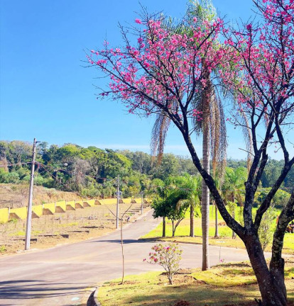 Imagem Terreno em Condomínio à Venda, 225 m² em Jardim Quintas Das Videiras - Jundiaí Imagem Terreno em Condomínio à Venda, 225 m² em Jardim Quintas Das Videiras - Jundiaí