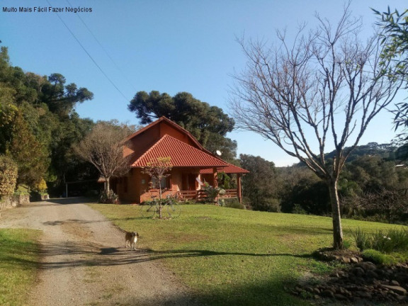 Imagem Casa com 3 Quartos à Venda, 296 m² em Vale Verde - Nova Petrópolis Imagem Casa com 3 Quartos à Venda, 296 m² em Vale Verde - Nova Petrópolis