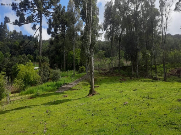 Imagem Terreno à Venda, 2 m² em Linha Imperial - Nova Petrópolis Imagem Terreno à Venda, 2 m² em Linha Imperial - Nova Petrópolis