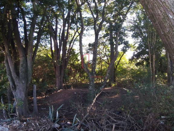 Imagem Imóvel à Venda, 5.000 m² em João Aranha - Paulínia