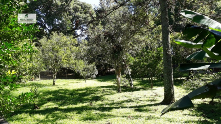 Imagem Chácara à Venda, 2.000 m² em Alto Da Serra - São Roque Imagem Chácara à Venda, 2.000 m² em Alto Da Serra - São Roque