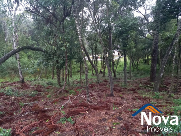 Imagem Imóvel à Venda, 811 m² em Vila Germânia - Nova Petrópolis Imagem Imóvel à Venda, 811 m² em Vila Germânia - Nova Petrópolis