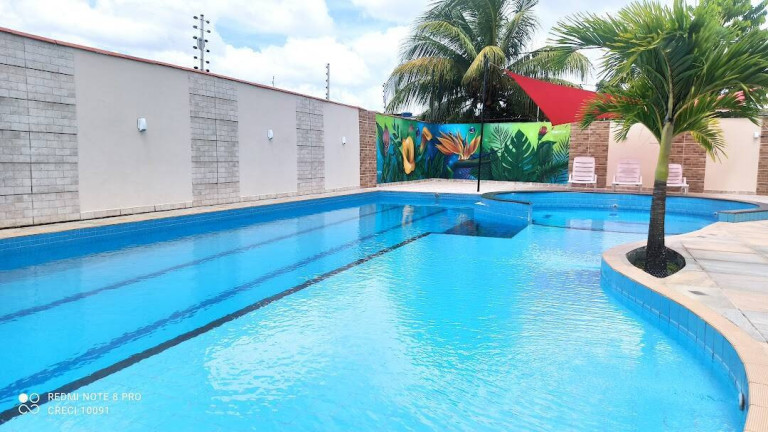 Imagem Apartamento com 3 Quartos para Alugar, 48 m² em Coqueiro - Ananindeua Imagem Apartamento com 3 Quartos para Alugar, 48 m² em Coqueiro - Ananindeua
