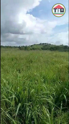 Imagem Fazenda à Venda, 4.259.200 m² em Zona Rural - Goianésia Do Pará Imagem Fazenda à Venda, 4.259.200 m² em Zona Rural - Goianésia Do Pará
