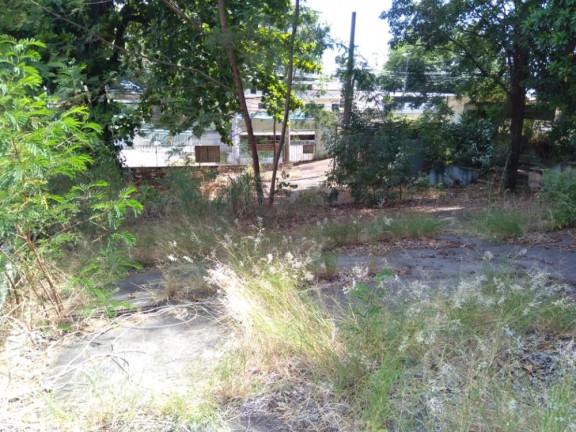 Imagem Imóvel para Alugar, 3.000 m² em Campo Grande - Rio De Janeiro Imagem Imóvel para Alugar, 3.000 m² em Campo Grande - Rio De Janeiro