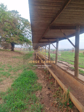 Imagem Fazenda à Venda, 53 m² em área Rural - Turiúba Imagem Fazenda à Venda, 53 m² em área Rural - Turiúba