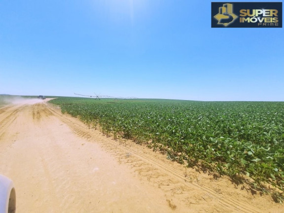 Imagem Imóvel com 3 Quartos à Venda, 21.000.000 m² em área Rural De Cachoeira Do Sul - Cachoeira Do Sul