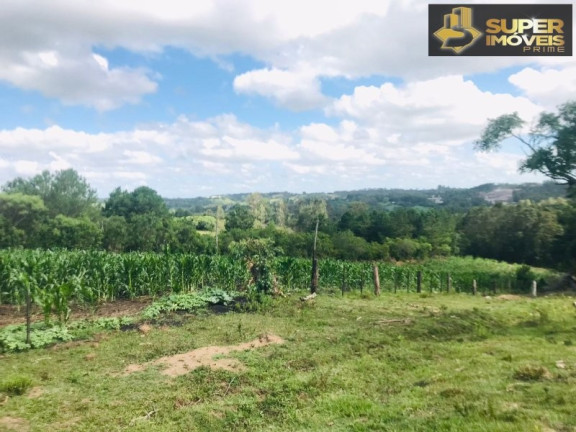 Imagem Imóvel com 7 Quartos à Venda, 120.000 m² em Monte Bonito - Pelotas Imagem Imóvel com 7 Quartos à Venda, 120.000 m² em Monte Bonito - Pelotas